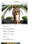 여행 다녀온 <b>솔비</b>가 홈피에 새로 남긴 의미심장한 말!
