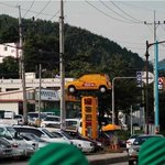 <b>티코</b>는 달리고 싶어요~~