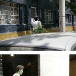 진짜 <b>선인장</b> 인간?! 설마........;;;;;
