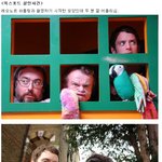 일라이자 우드 영화 촬영장 최근 모습 : <b>삭발</b>이네?