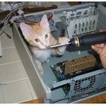 수리공 냐씨 도<b>라이버</b> 줘봐