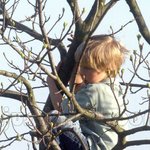 <b>주드</b> 로의 세 아이들 최근 모습~~!