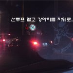 차 <b>위에</b> 하얀게 뭔가 봤더니....ㄷㄷㄷㄷ