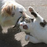 놓으라고!!!!! <b>개색</b>히야~