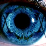 아이 엑세싱 큐(<b>eye</b> accessing que)