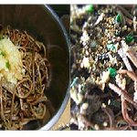 고사리<b>나물</b> 만들기