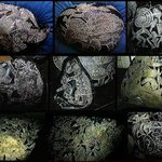 신비로운 고대문명 "이카의 돌"