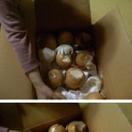 이번에 <b>택배</b>로 받은 배사진