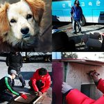 강지환, 촬영장 강아지 '길똥이'<b>에게</b> 집 만들어주다!