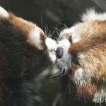 키스의 기본, 이것만 기억하세요!
