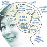 여자노홍철 <b>vj</b> 김나영의 뇌구조 ;;; 자기가 쓴거라는데 ㅋㅋㅋ