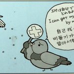 비둘기는 알아서 할 수 있다!일본의 <b>이색</b>표지판