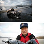 태안반도 <b>원유</b> 유출 봉사활동 함께 해요!!