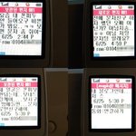 신종 낚시 '폰피' 주의!