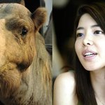 김민선, 하도 <b>낙타</b> 닮았다길래..비교해봤다!