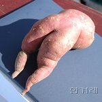 벌거벗은 엉덩이..(미<b>성년</b>은 보지 말것)