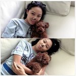 고양이 분장하고 강아지랑 놀아주는 공효진