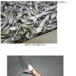 <b>멸치</b>야 잡혀서 놀랐구나?