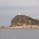 <b>주사</b>맞고 죽은 쥐섬