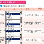 급다이어트! 칼로리부터 계산하자!