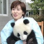 윤현진 아나운서... 아슬아슬 <b>팬더</b>가 덮칠꺼같애.