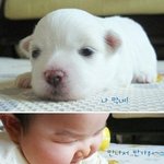 막둥이 끼리의 <b>만남</b>!