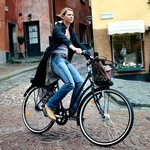 도시인의 여유, 세계의 자전거