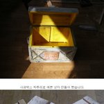 <b>보물</b>상자 만들기!!!