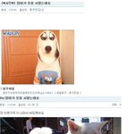 개<b>팔자</b>가 상팔자?