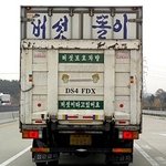 보호차량도 가지<b>각색</b>