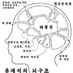 무한도전 멤버들의 뇌<b>구조</b>