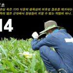[<b>장병</b>생활백서] #14 제초