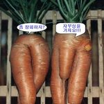완전 나체인 부부