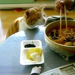 <b>한입</b>만......