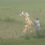 괴수를 때려잡는 <b>시민</b>?