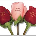 8만원짜리 <b>장미</b>