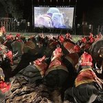 코끼리 <b>전용</b> 극장?