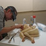 극 사실주의 조각가 ron mueck
