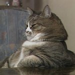 어머님! <b>결혼</b>을 <b>허락</b>해주십시오!!