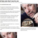 연어통조림에서 금을 발견한 할아버지!