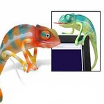 컴퓨터로 기르는 카멜레온ㅋㅋㅋ