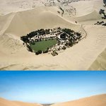 <b>사막</b>의 오아시스 펜션!!