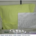 비행기 베개 '슬쩍' 한 여고생의 '달콤 깜찍한 사과문'