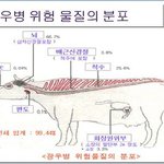 다음영호님의 광우병 청문회 <b>pt</b>자료와 영상!