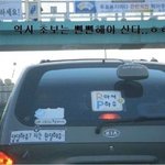 뻔뻔한 <b>초보</b>