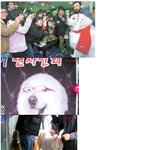 <b>상근</b>이 팬싸인회 현장