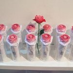 <b>장미</b> 우산