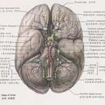 암기력을 높여보자!