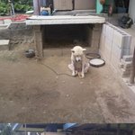 <b>펀드</b> 했다가 이번에 다 말아먹었어요ㅠ