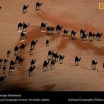 재미있는 착시 현상